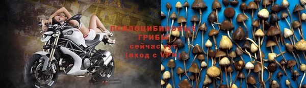 мет Белокуриха