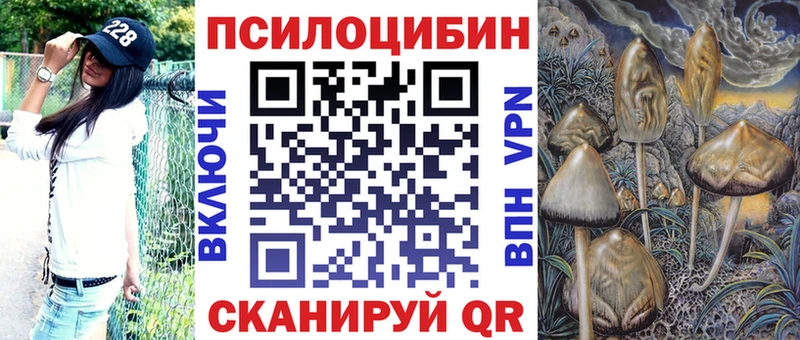 Псилоцибиновые грибы мицелий  Курлово 